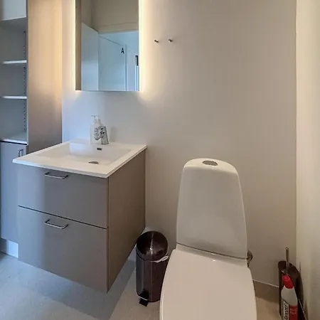 Gezellig In Met Binnenzwembad Appartement Vejen
